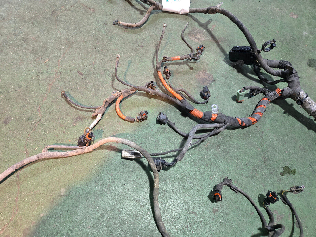 LML ENGINE HARNESS NO VISIBLE PART NUMBER