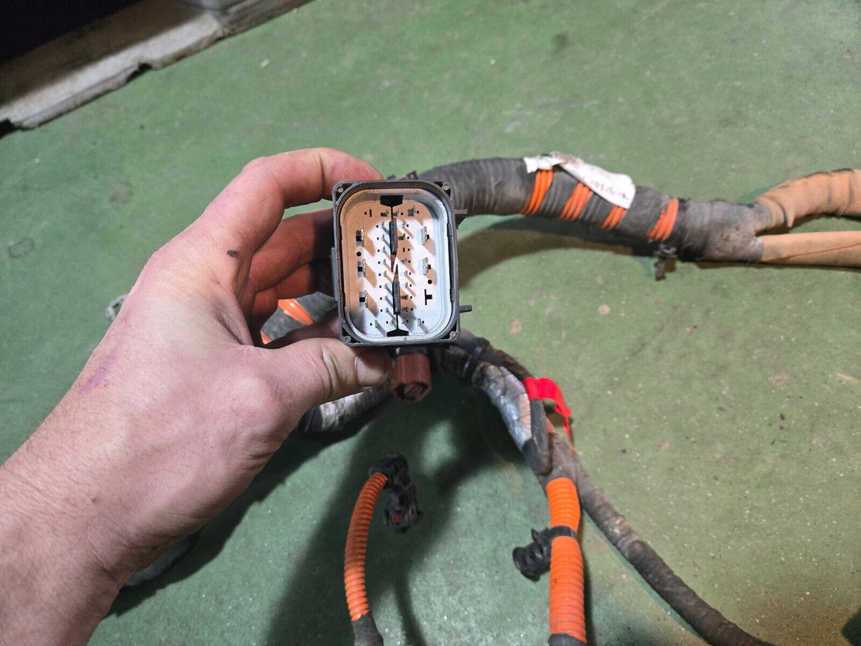 LML ENGINE HARNESS NO VISIBLE PART NUMBER