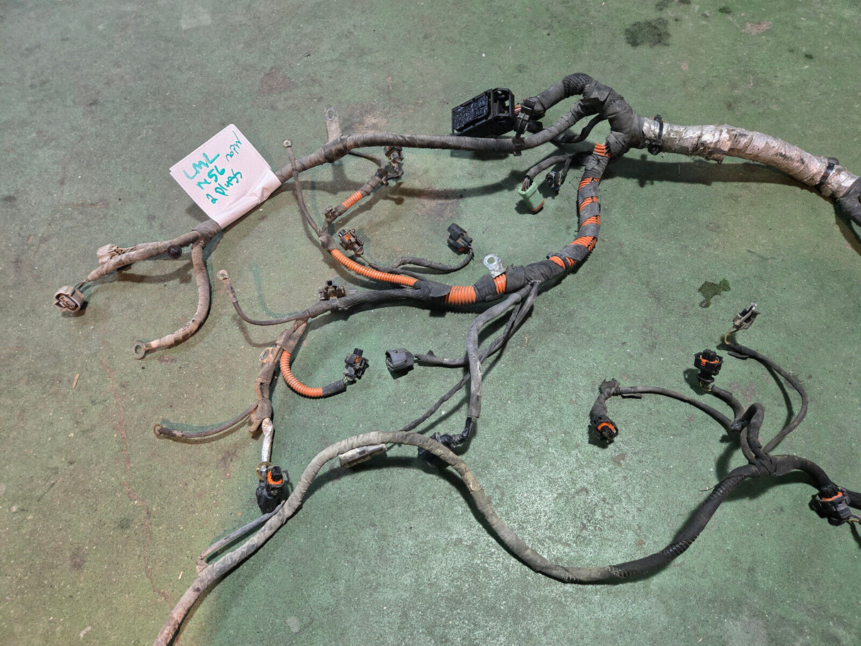 LML ENGINE HARNESS NO VISIBLE PART NUMBER