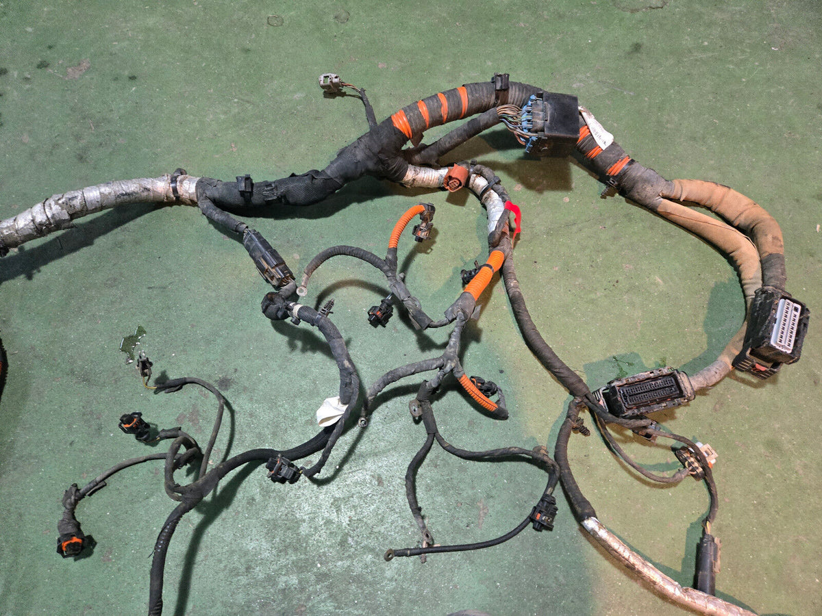 LML ENGINE HARNESS NO VISIBLE PART NUMBER