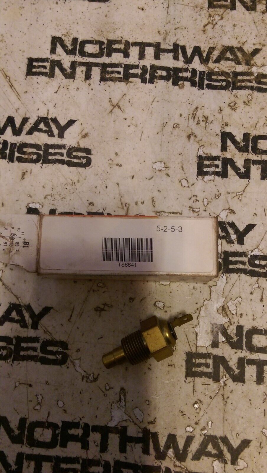 Coolant Temperature Sensor ECH TS6641