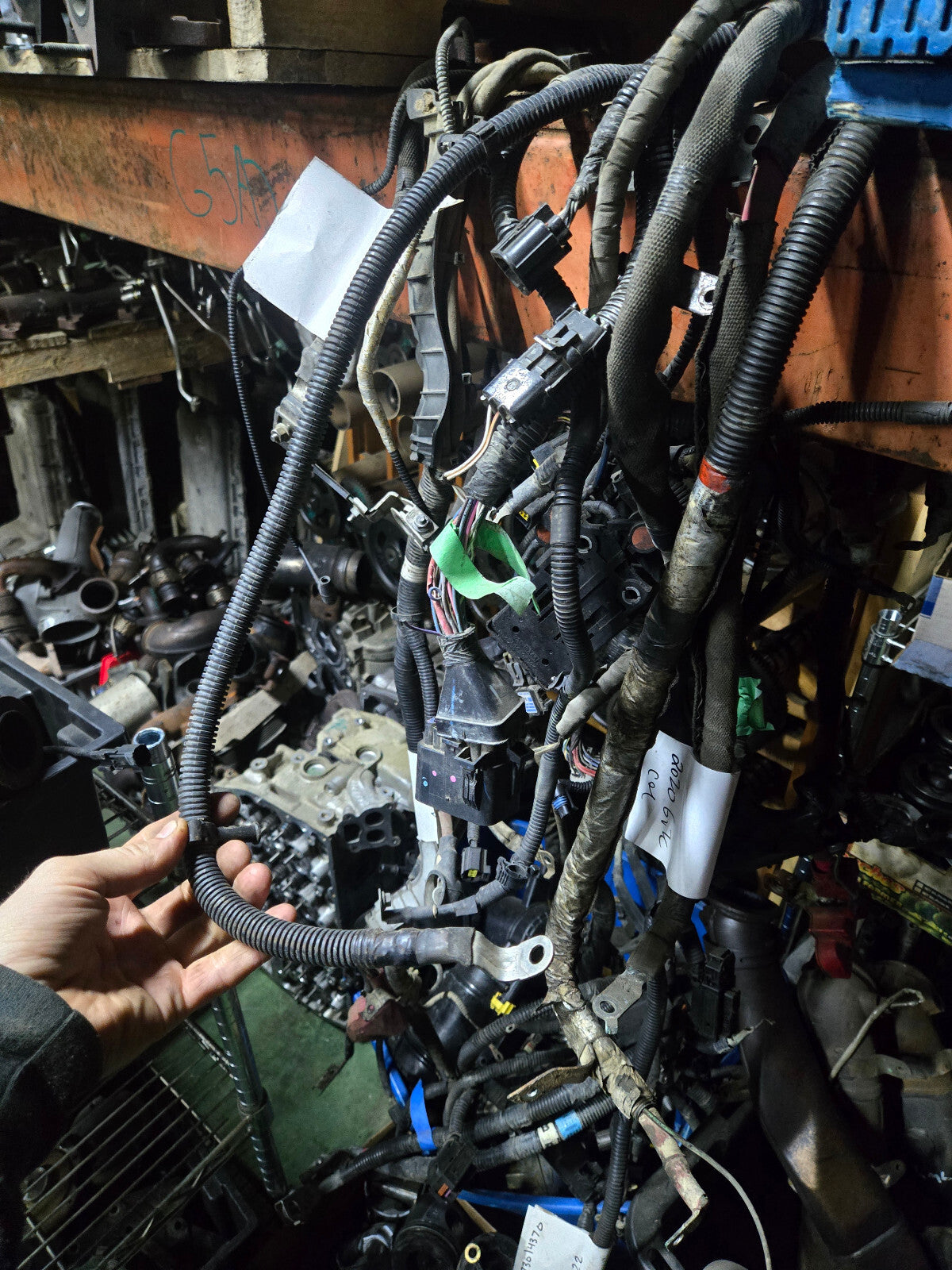 23119639 GM Genuine Parts Positive Battery Cable