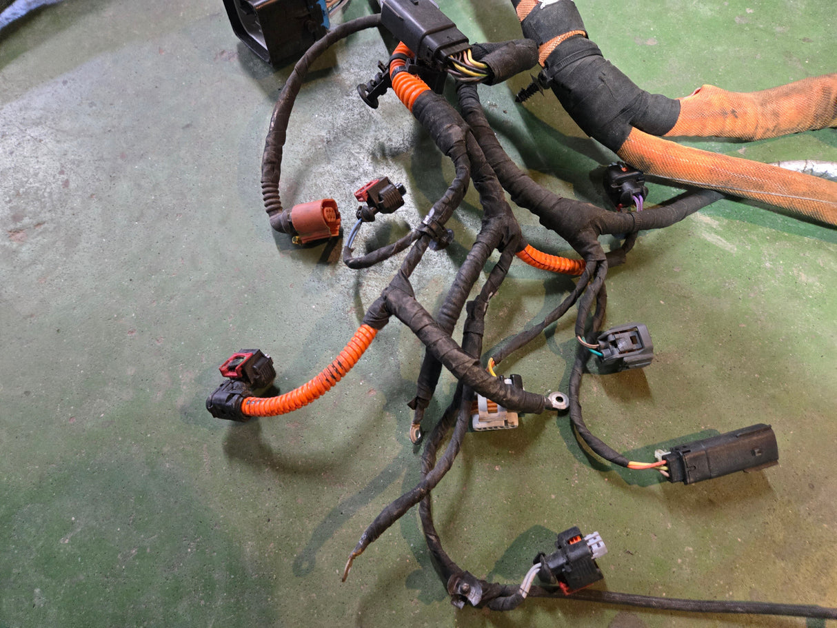 2015/16 LML 12677187 / 12660889 ENGINE HARNESS