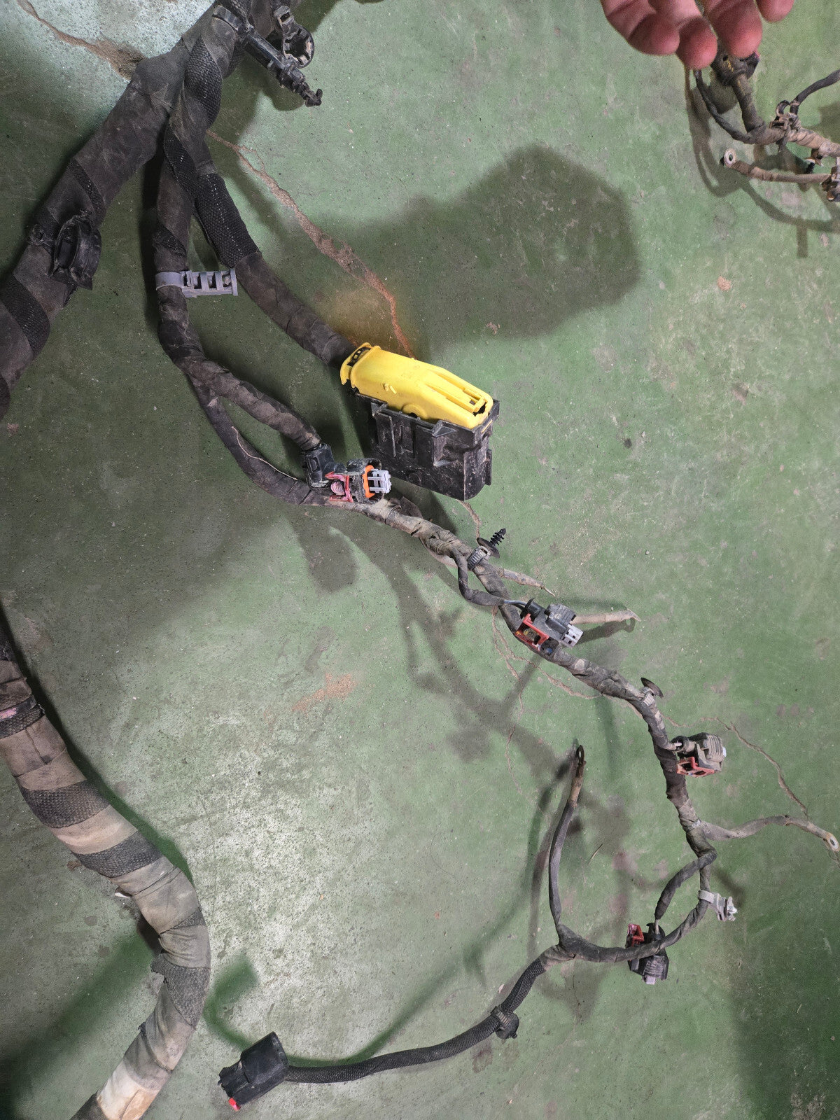 L5P ENGINE HARNESS NO VISIBLE PN