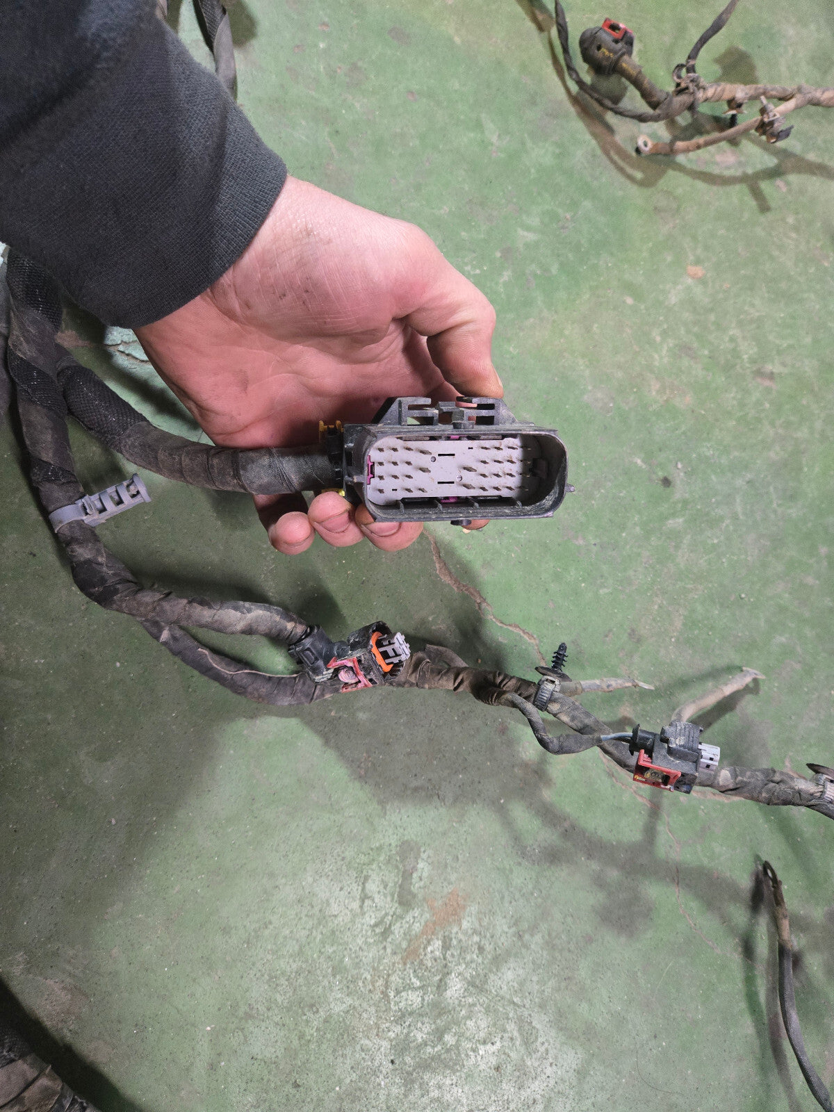 L5P ENGINE HARNESS NO VISIBLE PN