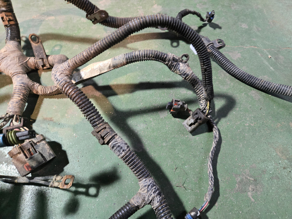3972349 Engine Harness Dodge Ram Cummins Diesel 5.9L