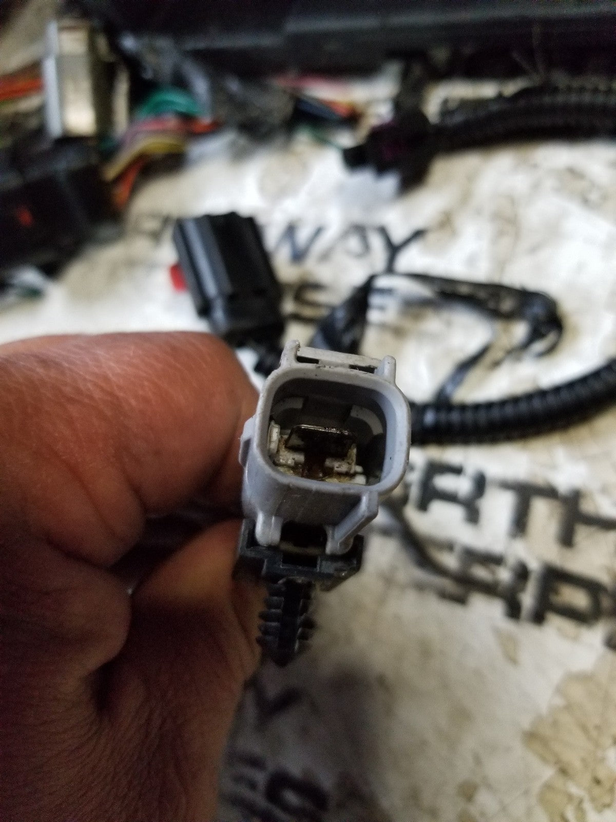 5.9L 1999-02 CUMMINS 24V VP44 ENGINE HARNESS PIGTAIL 1 SOCKET 1 WIRE