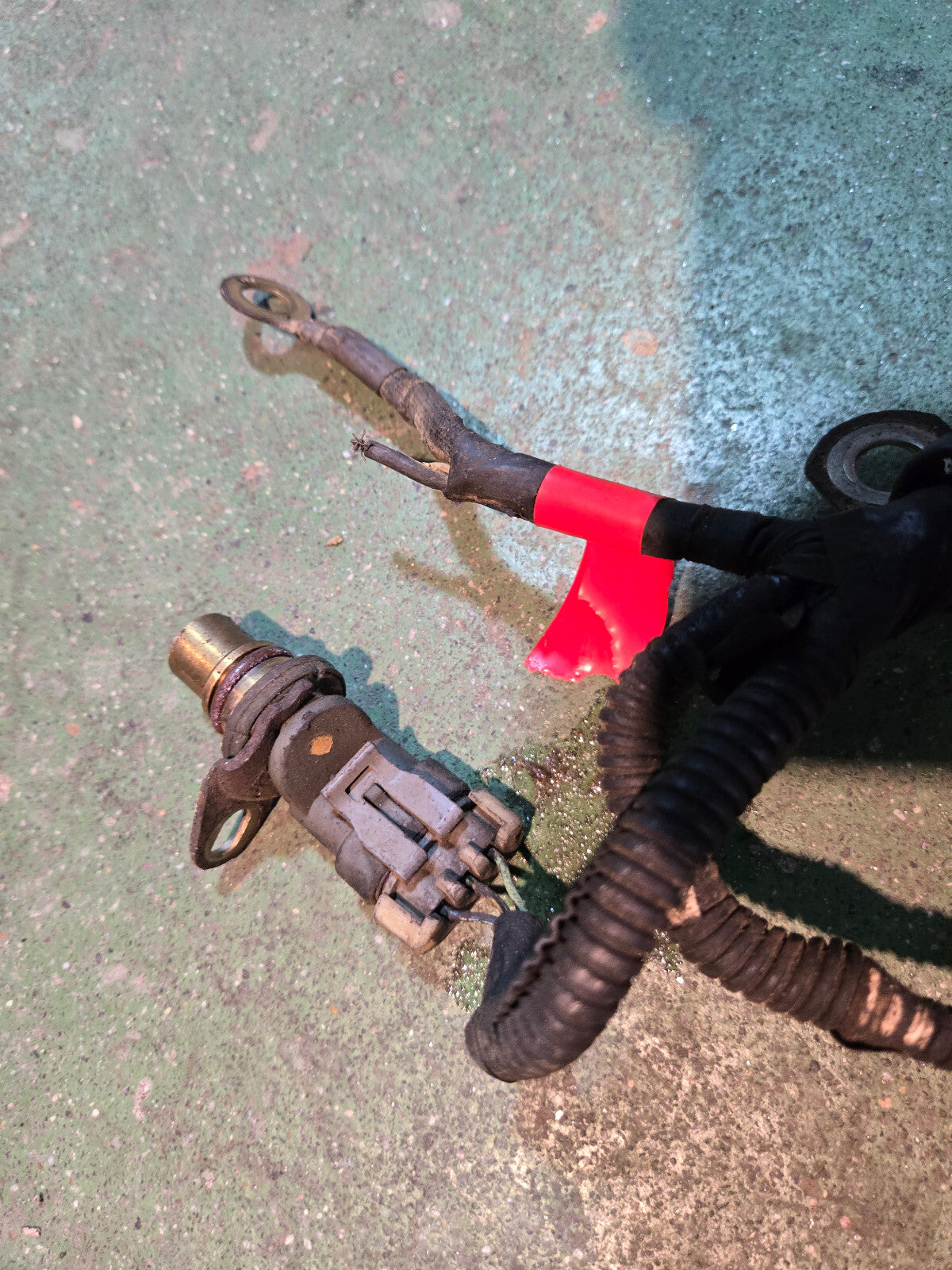 97301437 LB7 Duramax Engine Harness 897301437 2003-2004 LB7