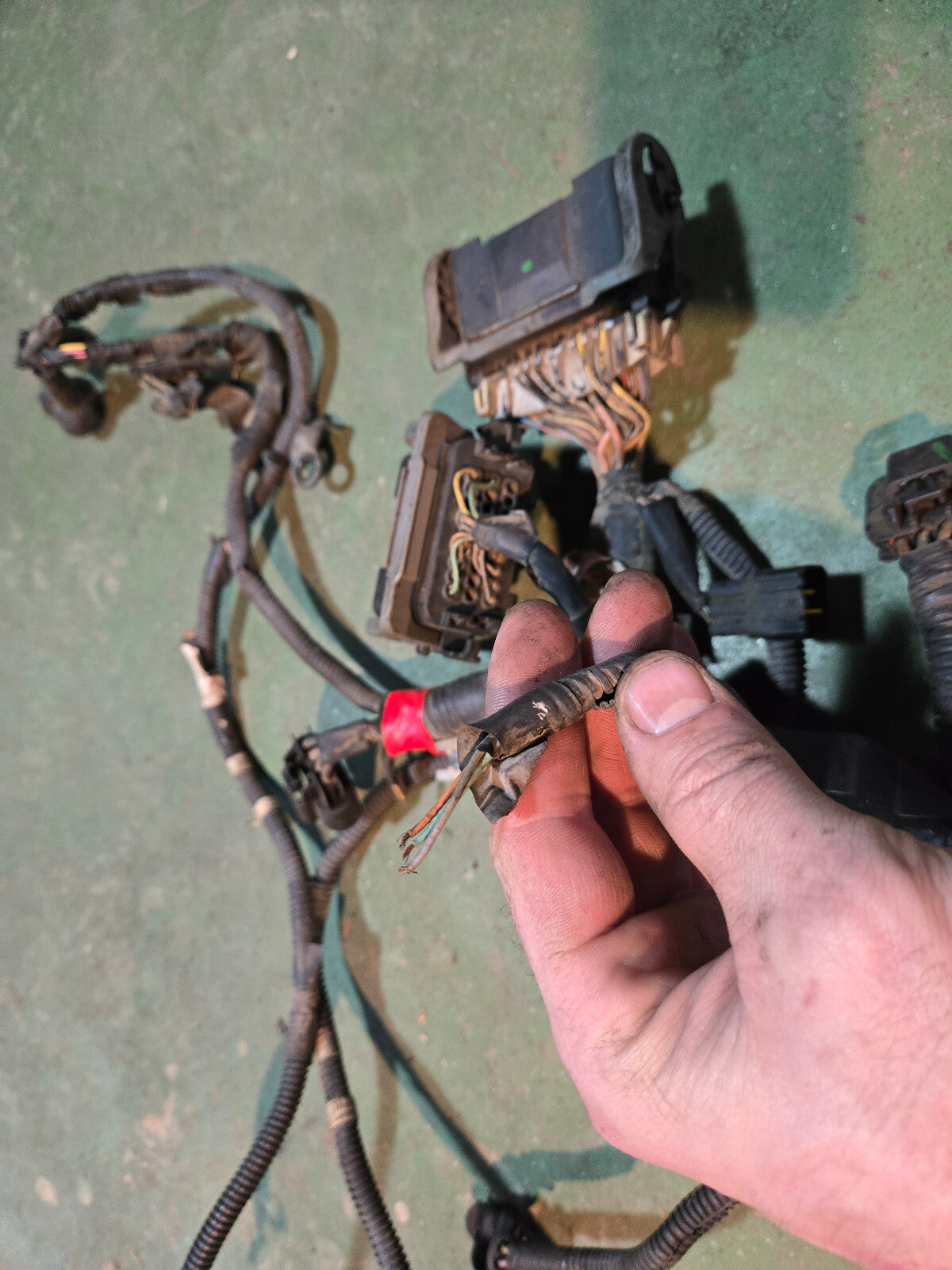 97301437 LB7 Duramax Engine Harness 897301437 2003-2004 LB7