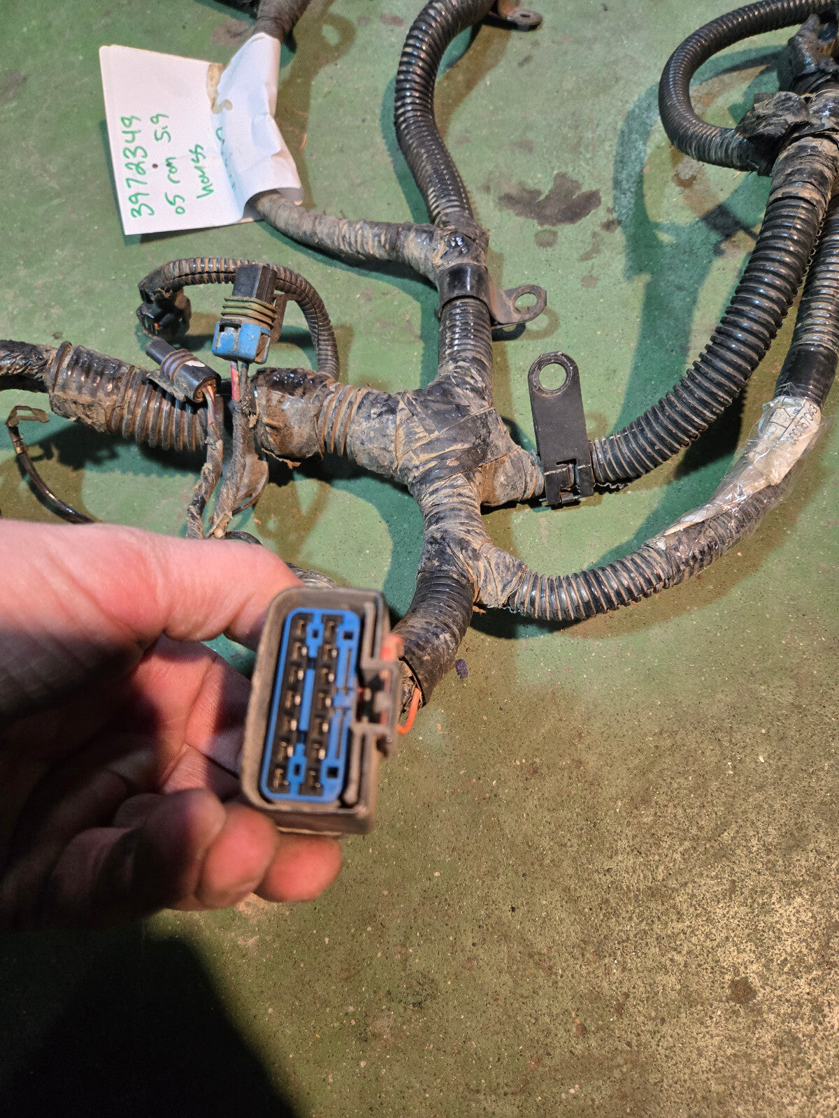 2005 3972349 Engine Harness Dodge Ram Cummins Diesel 5.9L