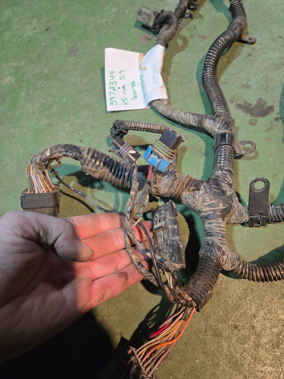 2005 3972349 Engine Harness Dodge Ram Cummins Diesel 5.9L