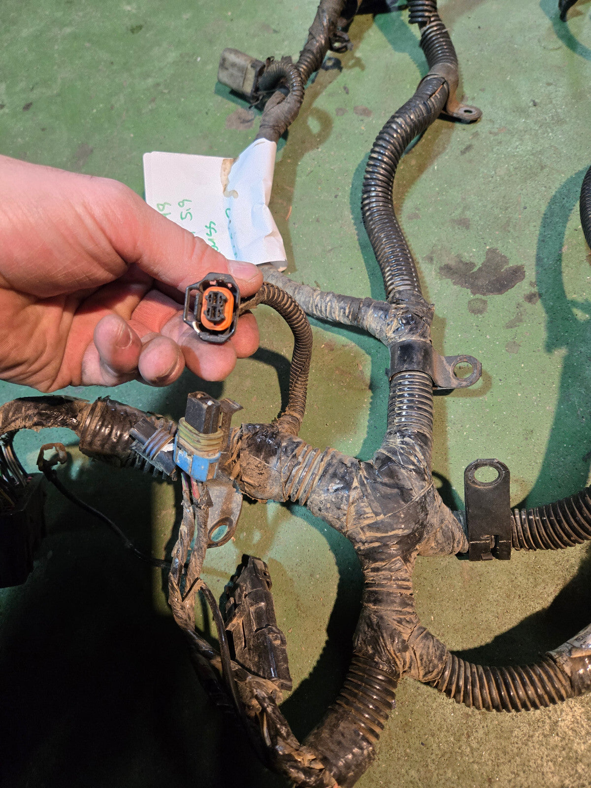 2005 3972349 Engine Harness Dodge Ram Cummins Diesel 5.9L