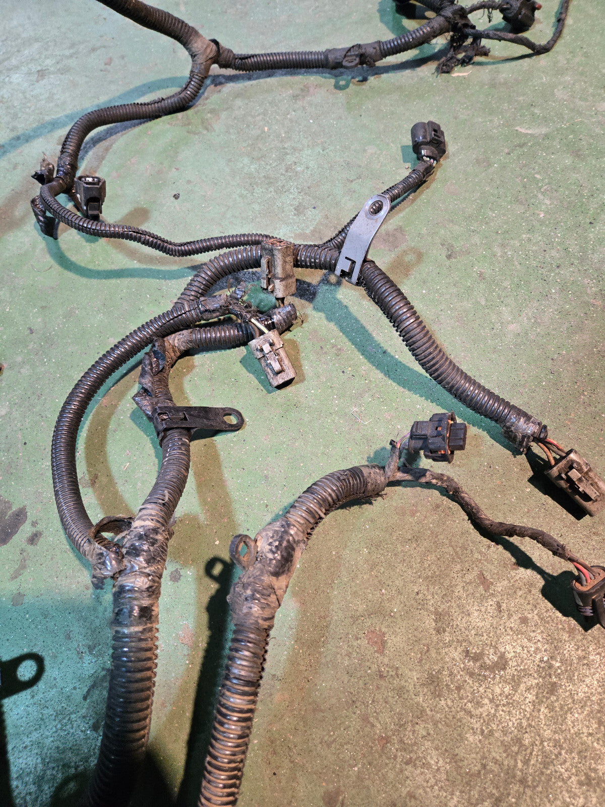 2005 3972349 Engine Harness Dodge Ram Cummins Diesel 5.9L