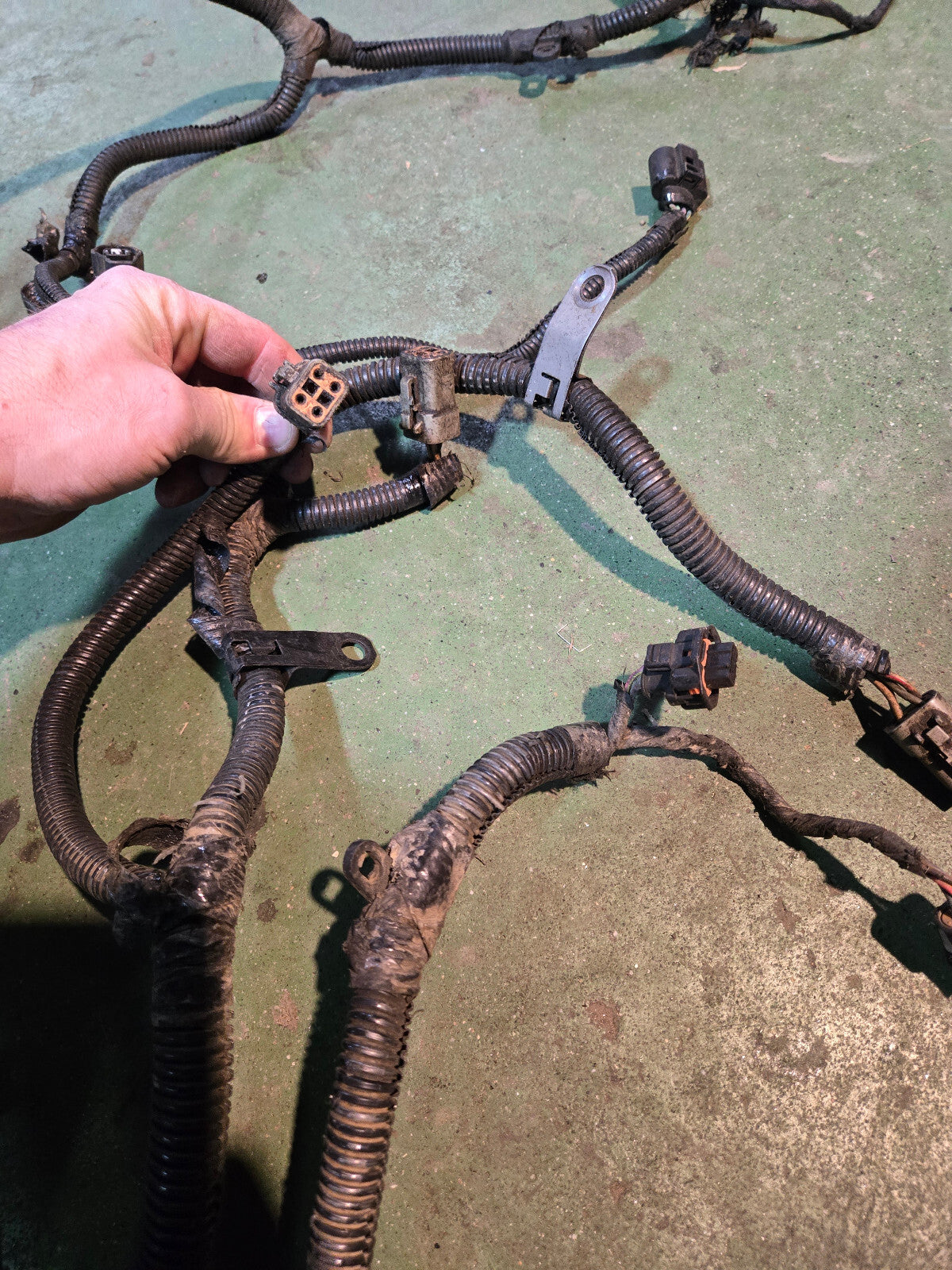 2005 3972349 Engine Harness Dodge Ram Cummins Diesel 5.9L