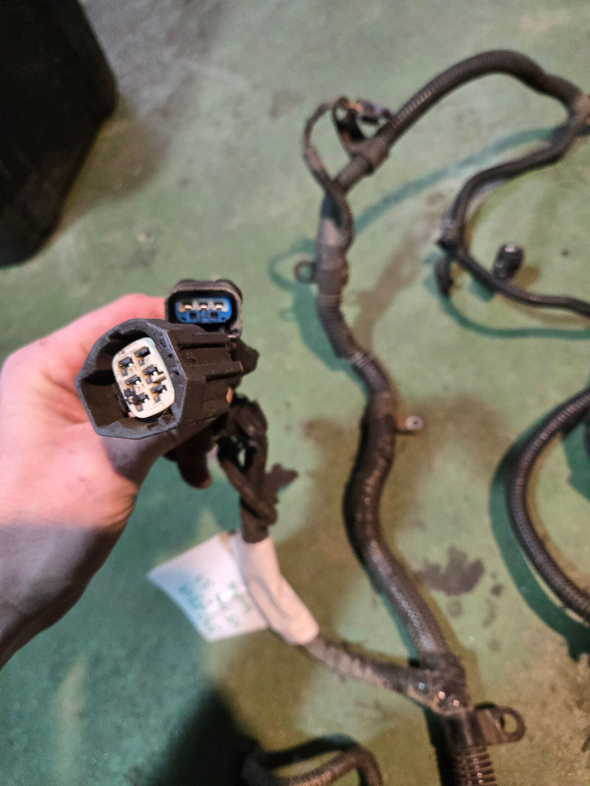 2005 3972349 Engine Harness Dodge Ram Cummins Diesel 5.9L