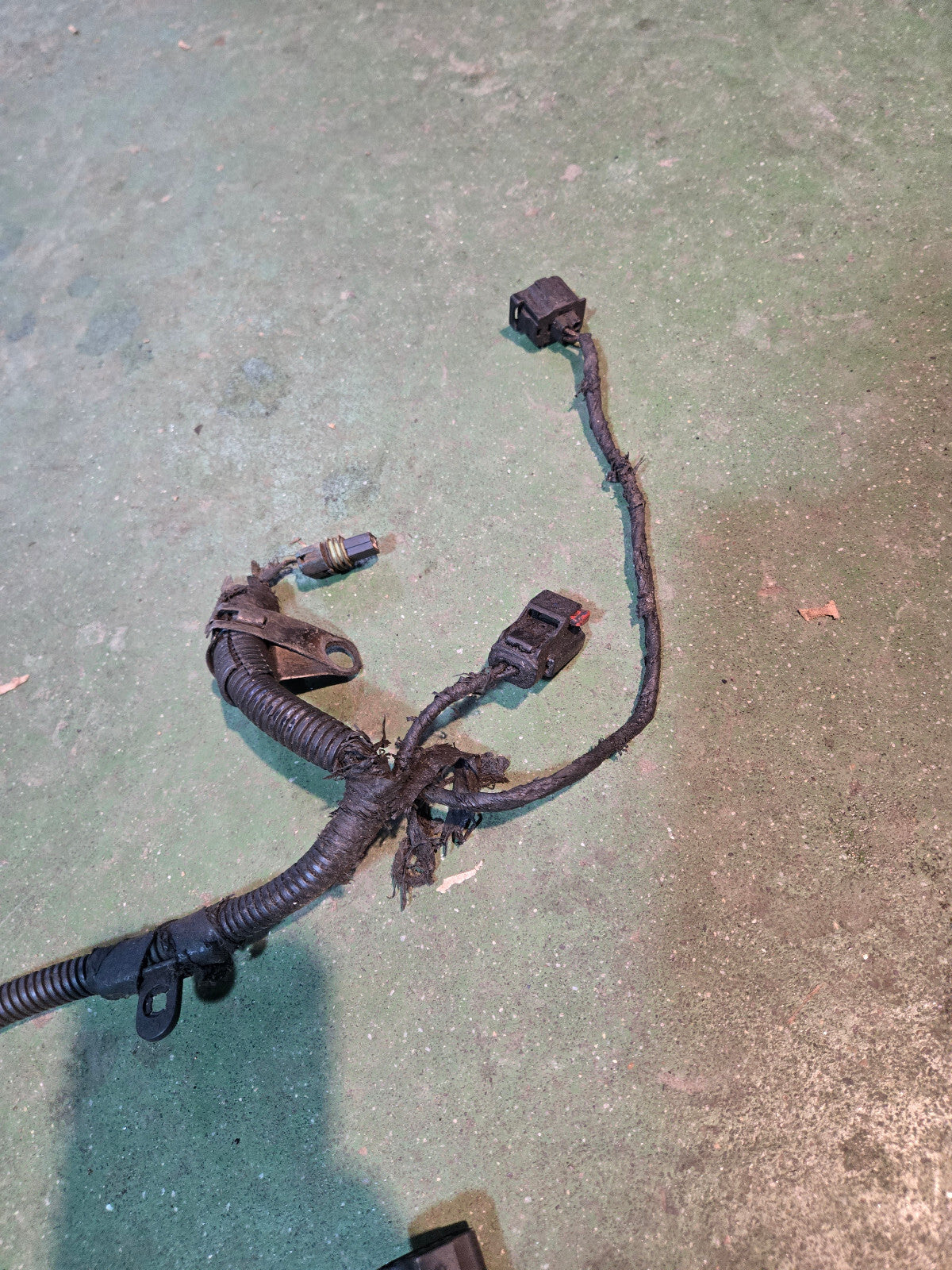 2005 3972349 Engine Harness Dodge Ram Cummins Diesel 5.9L