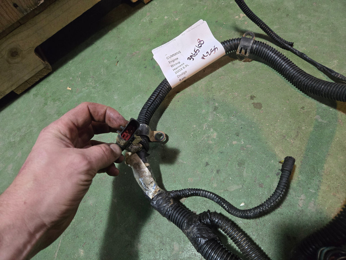 Engine Wire Harness CUMMINS 3965108 TRANS 2003 MOPAR 05114338AA
