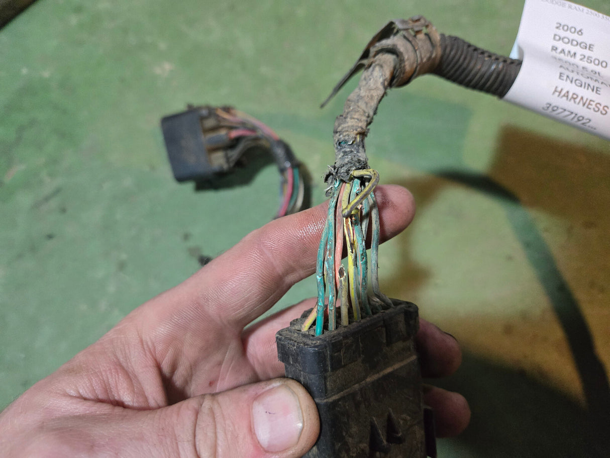 2006 3977192 CUMMINS ENGINE HARNESS MOPAR 5175541AA