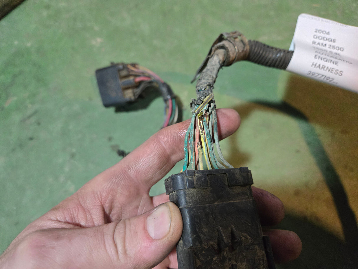 2006 3977192 CUMMINS ENGINE HARNESS MOPAR 5175541AA