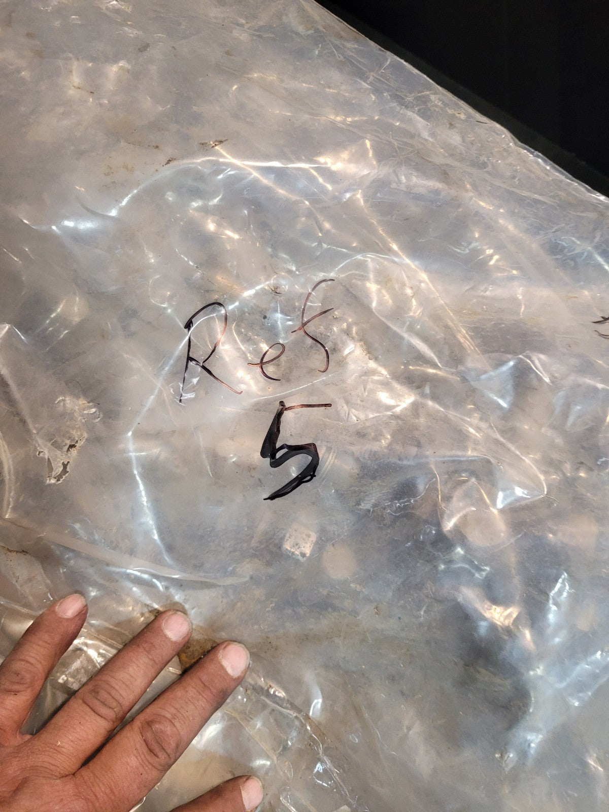 ZEXEL Fuel Injection Pump 107491-3062 105933-0591 22000-9561