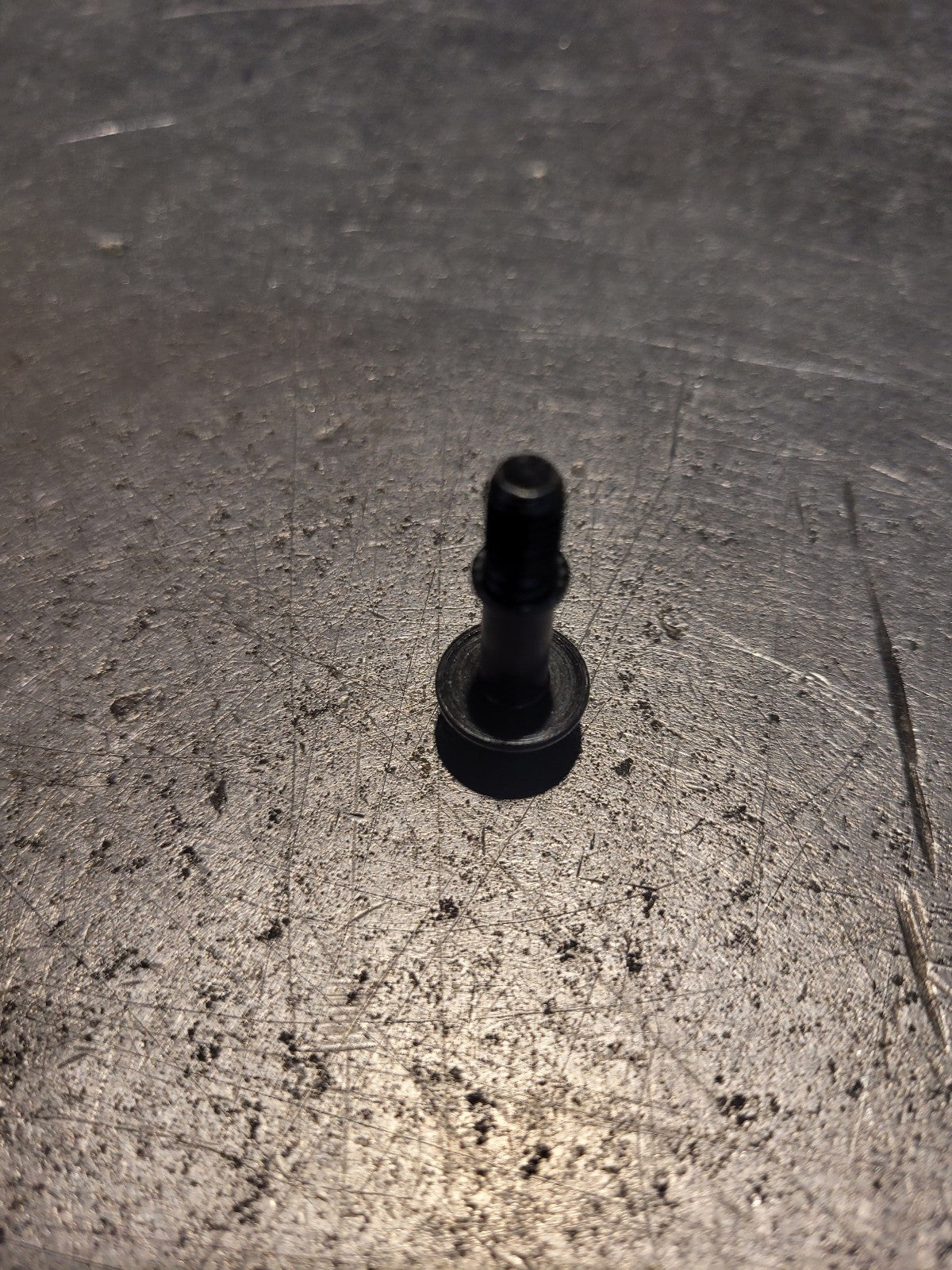 Cummins Shoulder Cap Screw - 3683919