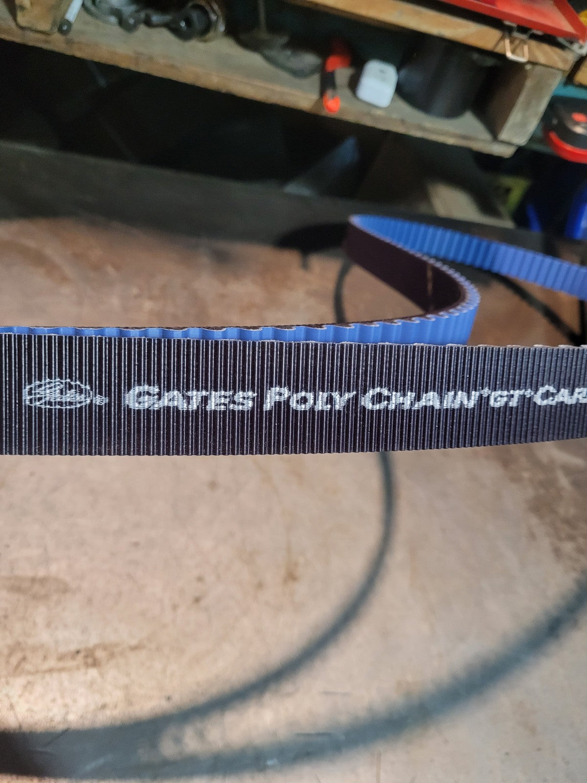 14MGT3500-37 GATES 2745250 Poly Chain Belt, 14mm Pitch, 37mm Width, 250 TOOTH