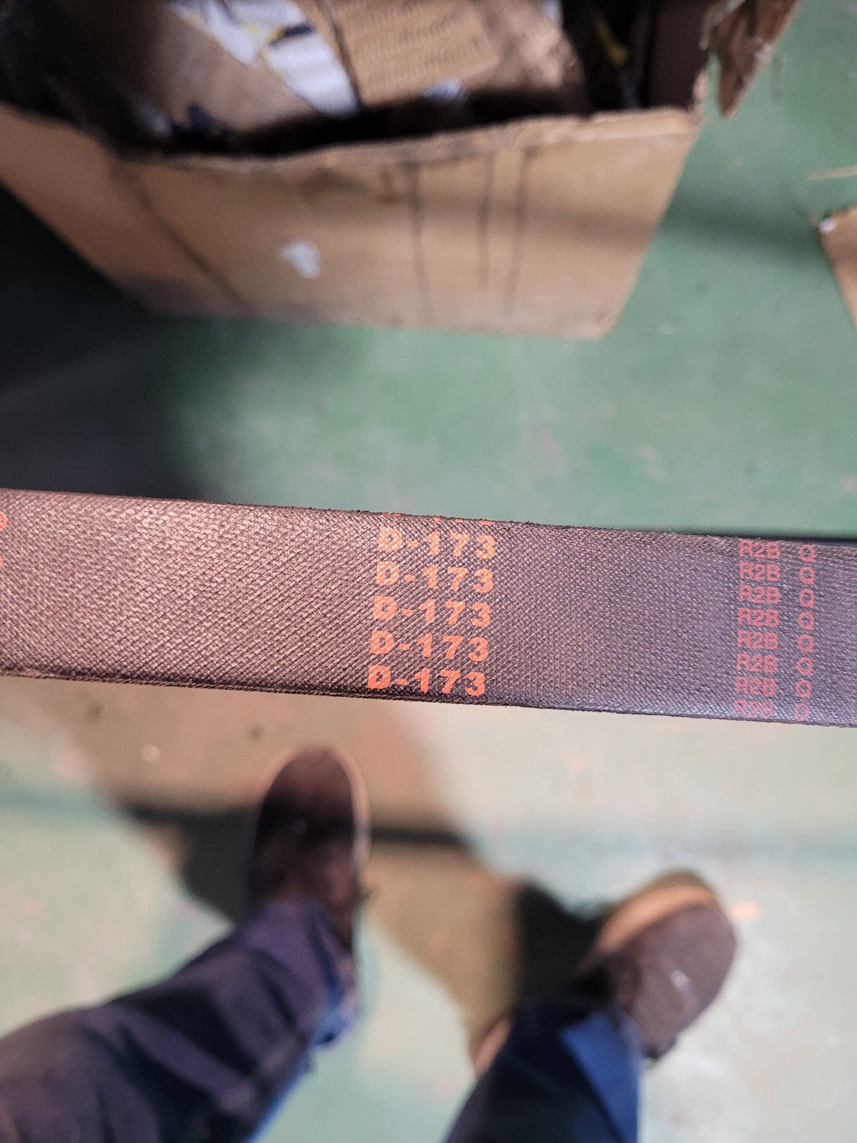 NEW D173 BELT 1-1/4 in Top Width, 1 Strand, 178 in OD