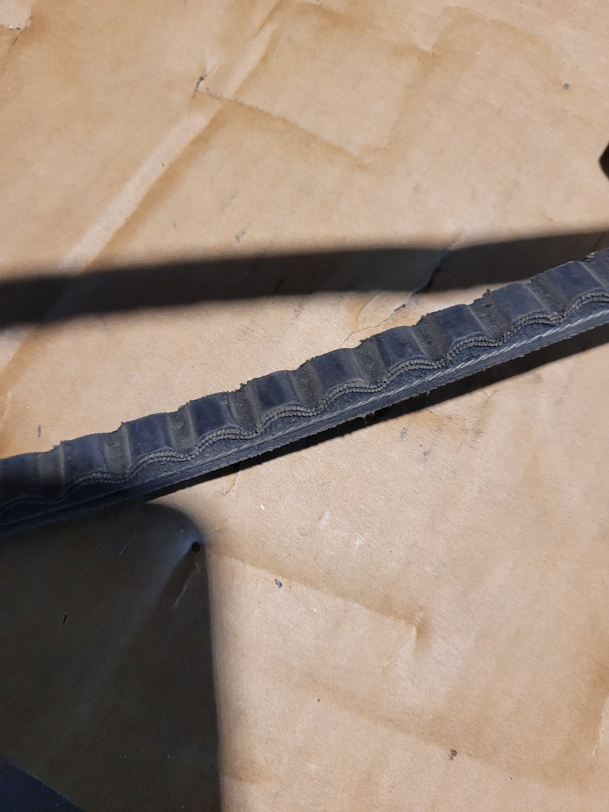 AGCO V-Belt, 13AV Section, 52.8" Long 843198V1