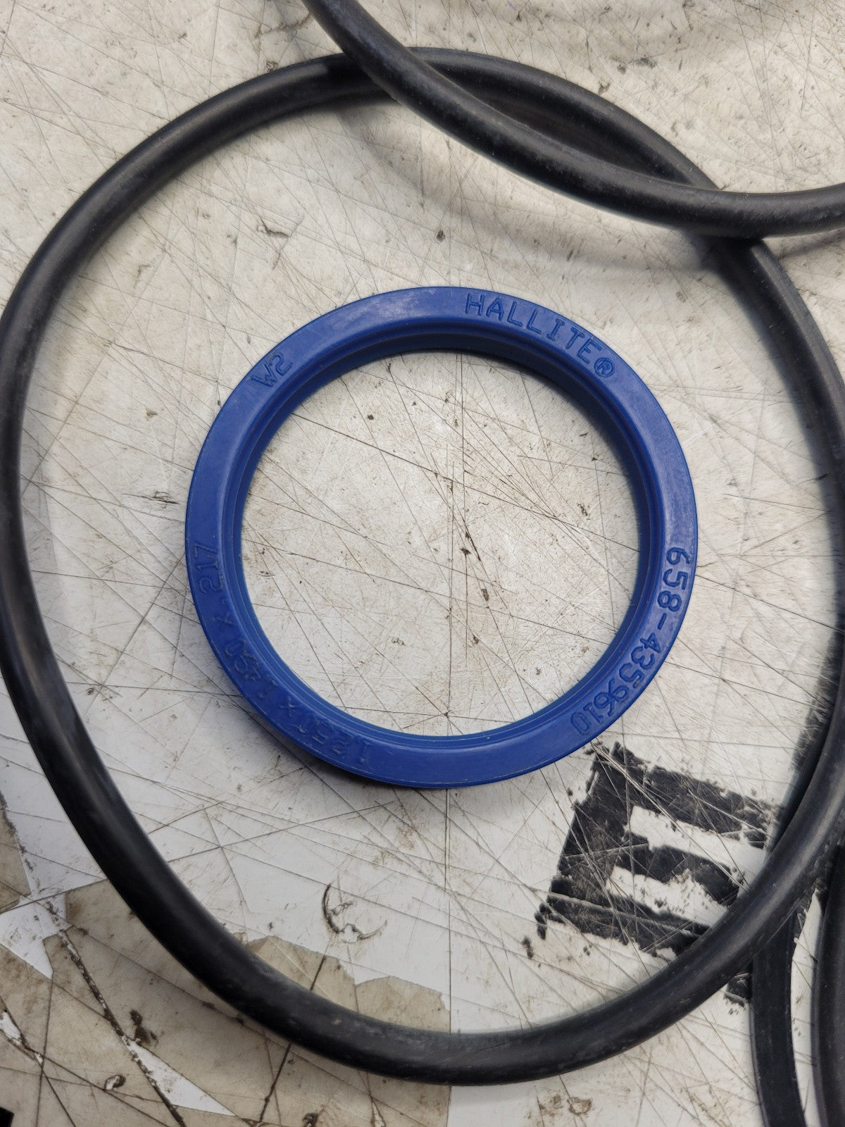 700718496 AGCO SEAL KIT