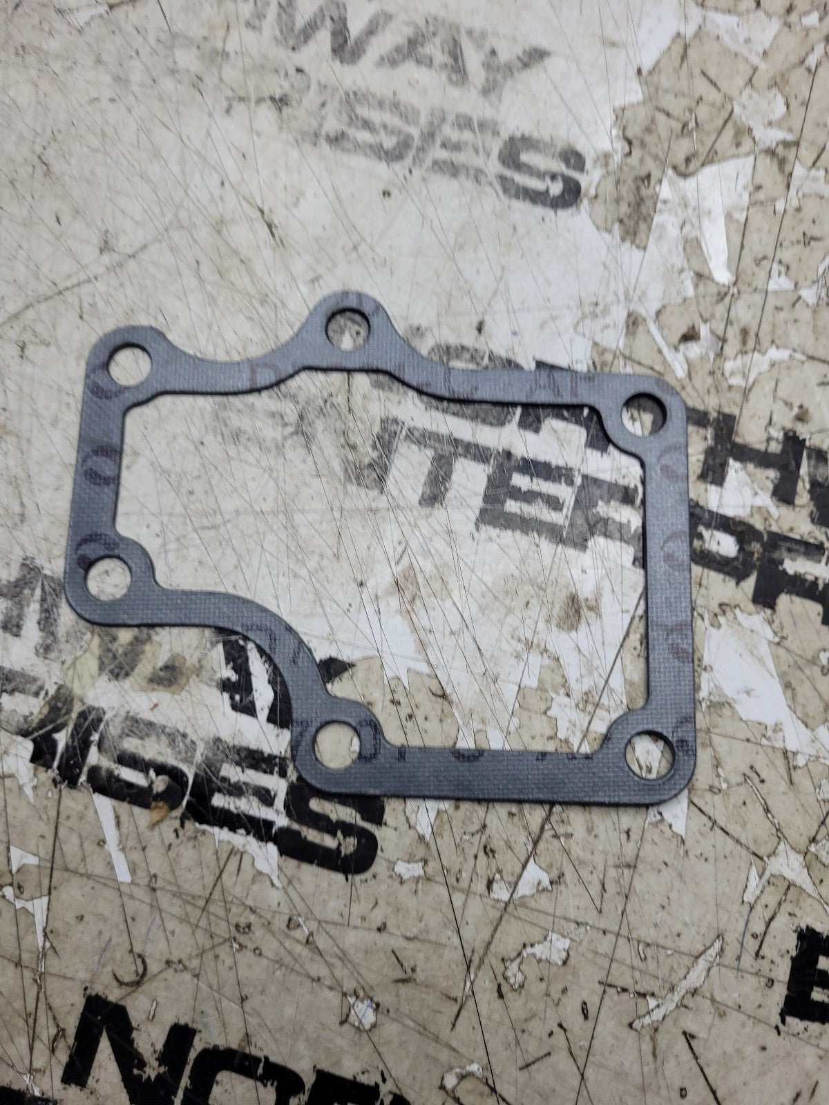 NEW EUCLID GASKET E12975685 12975685