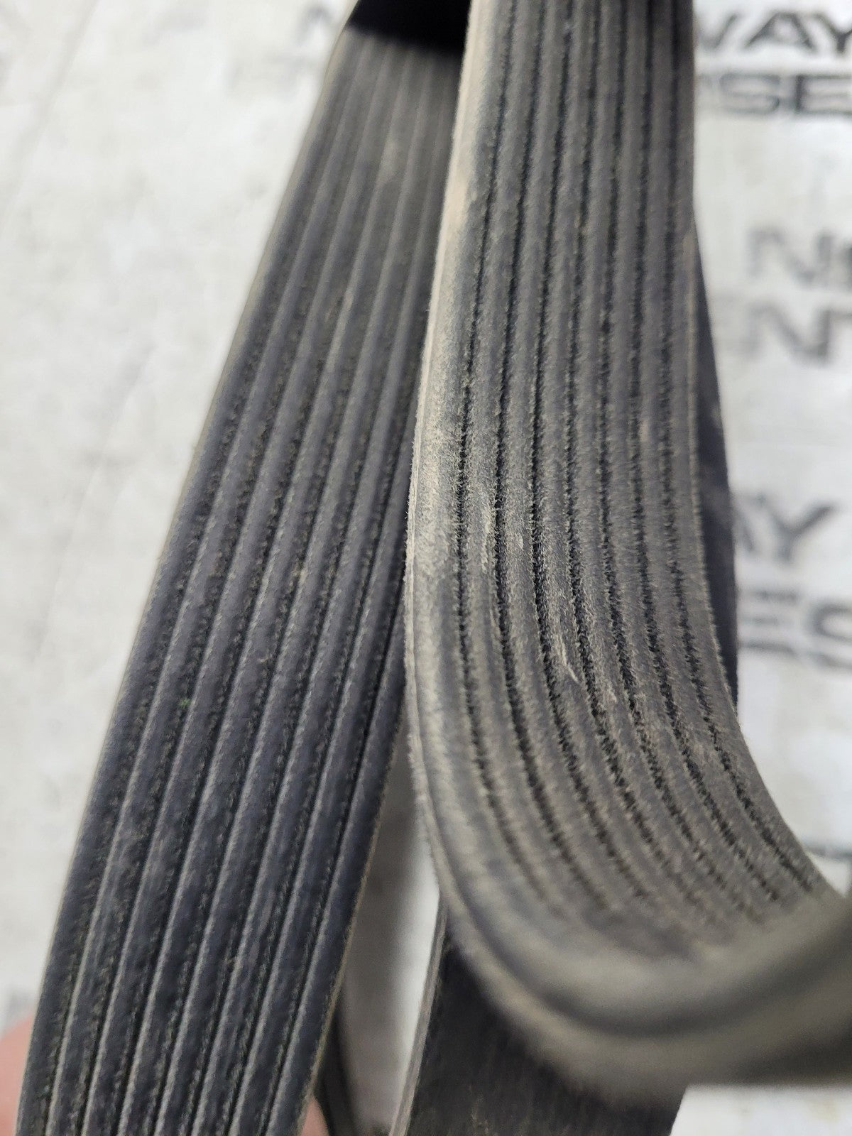 New 4933076 Genuine Cummins Belt