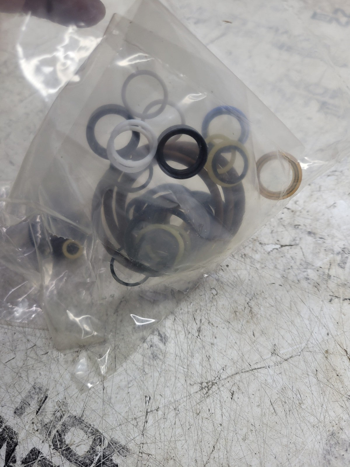 NEW EUCLID SEAL KIT E12594922 12594922