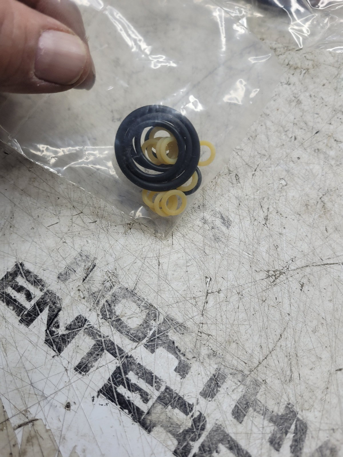 NEW EUCLID SEAL KIT E12594922 12594922