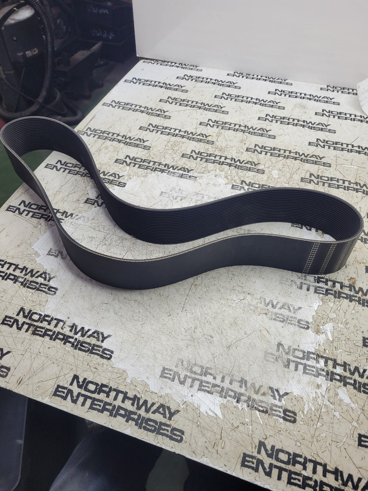NEW CUMMINS 3090365 Replacement belt 20-5793 E12595769
