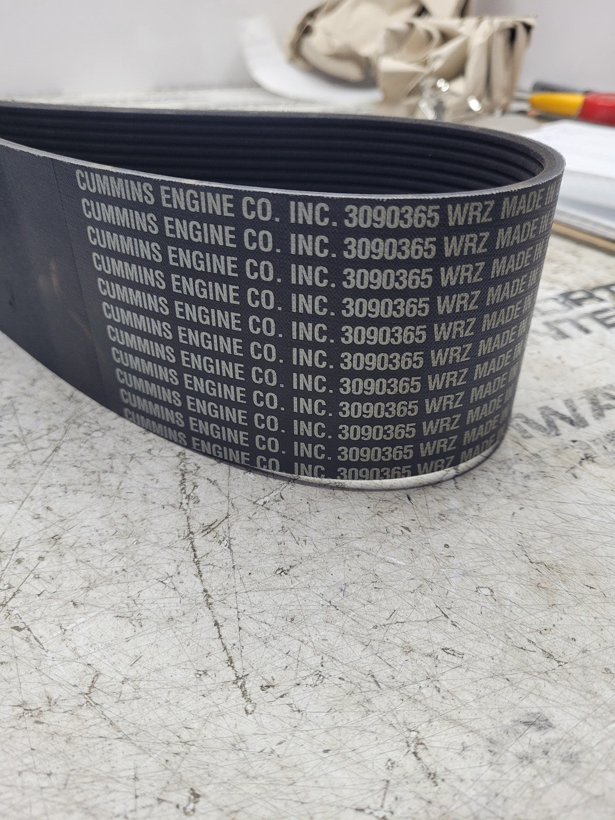 NEW CUMMINS 3090365 Replacement belt 20-5793 E12595769