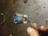 LML OIL PAN HARNESS PIGTAIL 3 PIN