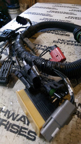 CUMMINS 3999668 VESSEL ADAPTER WIRING HARNESS