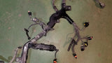 48852040F 3.0L ECO DIESEL Injector Wiring Harness Mopar 68196354ae