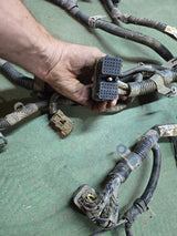 3977192 CUMMINS ENGINE HARNESS