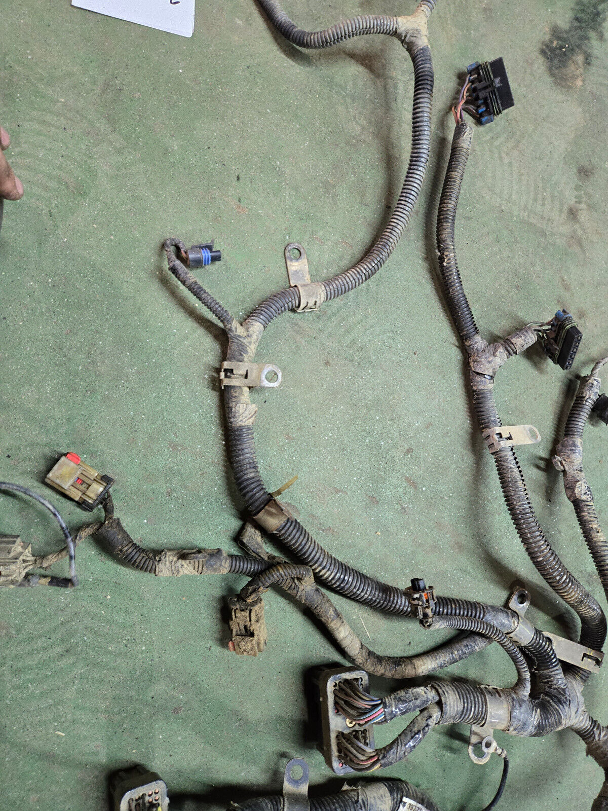 3977192 CUMMINS ENGINE HARNESS