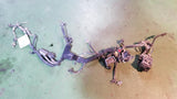 973014370 LB7 Duramax Engine Harness 97301437