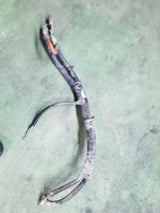 2013 CUMMINS 6.7L,LH BATTERY CABLE 68147498AA 5285014