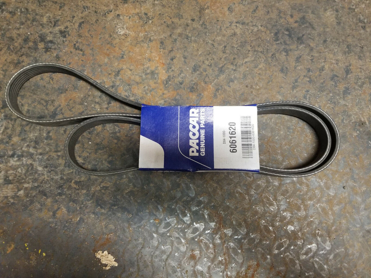 6061620 PACCAR BELT