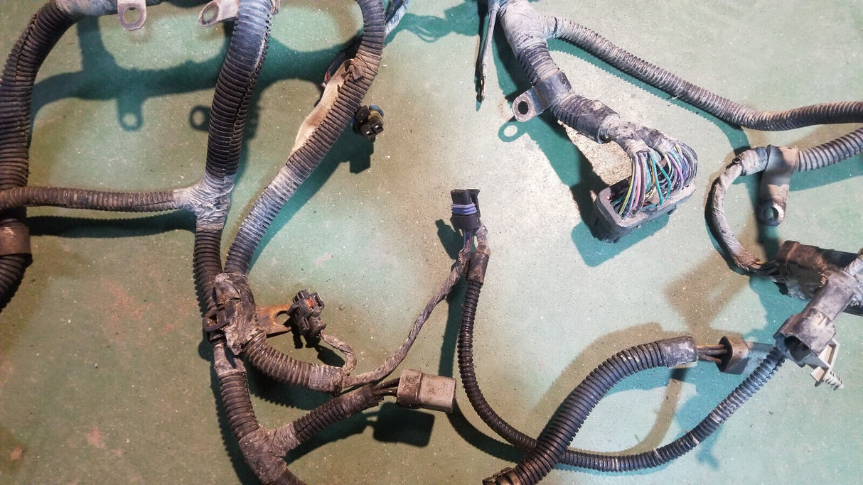 3972349  Engine Harness Dodge Ram Cummins Diesel 5.9L