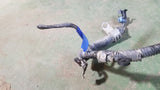 3969692 ECM Rear Engine Wiring Harness fits 2004 Dodge Ram 5.9L Diesel ECM Rear