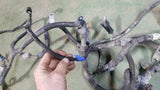 3969692 ECM Rear Engine Wiring Harness fits 2004 Dodge Ram 5.9L Diesel ECM Rear