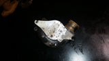 6.7 CUMMINS THERMOSTAT HOUSING 6.7L DODGE RAM 5283433
