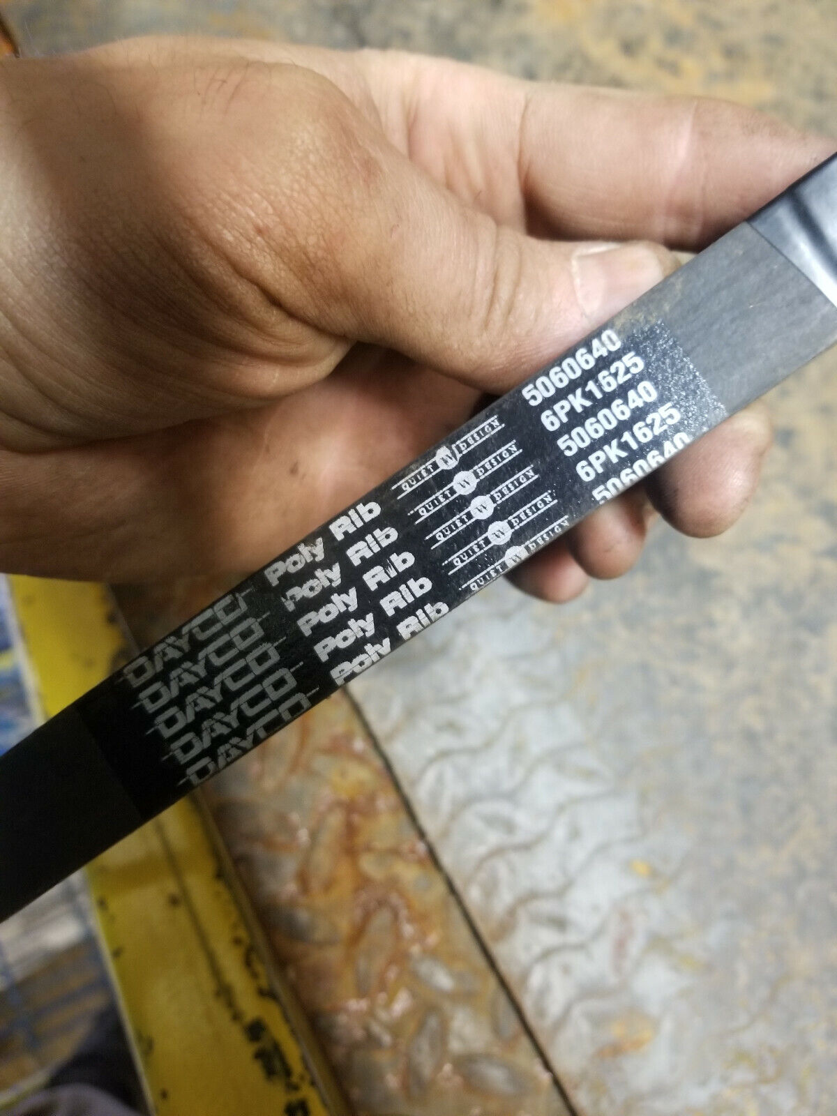 5060640 DAYCO BELT