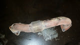 8C3Z-6K854-B 6.4 Powerstroke Turbo Diesel 6.4L Turbo to Exhaust Manifold Pipe LH
