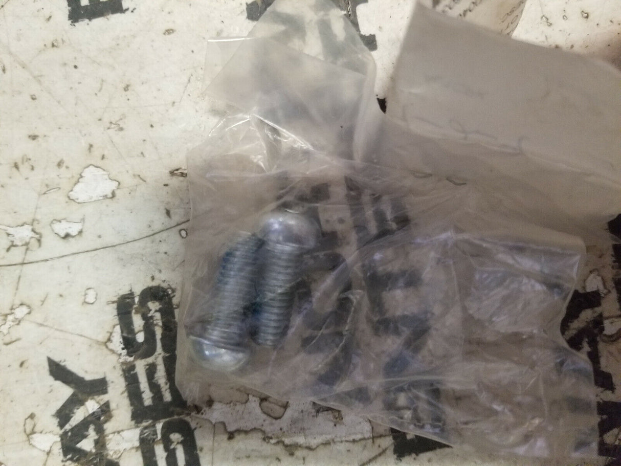035-2017 CATERPILLAR MACHINE SCREW SET OF 2 PC